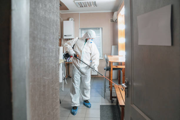 Forensic Mold Investigation in Mint Hill, NC