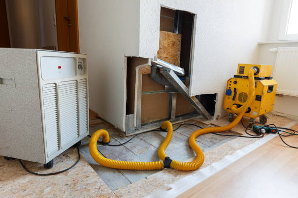 Mold Remediation for Vacation Homes